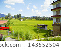 Rice paddies and rural landscapes spreading around Changunarayan 143552504