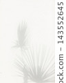 Abstract background of shadows palm leaves on a white wall. Top view of tropical leaf shadow on sand color background. 143552645