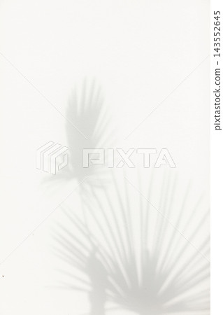 Abstract background of shadows palm leaves on a white wall. Top view of tropical leaf shadow on sand color background. Abstract background of shadows palm leaves on a white wall. Top view of tropical leaf shadow on sand color background. 143552645