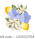 Botanical arrangement with lemons, flax flowers and citrus blossoms. Vector floral illustration. 143552764