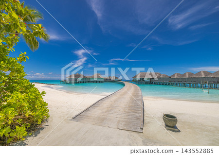 Wooden jetty leading overwater villas vivid turquoise Maldives lagoon lush palms blue sky bright. Digital nomad remote workation. Dream escape freelance lifestyle Wooden jetty leading overwater villas vivid turquoise Maldives lagoon lush palms blue sky bright. Digital nomad remote workation. Dream escape freelance lifestyle 143552885