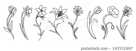 Minimal flowers. Line floral rose, linear spring iris or thin outline modern art icons. Leaf decoration contour. Black outline blooming meadow plants, stems and leaves, vector illustration Minimal flowers. Line floral rose, linear spring iris or thin outline modern art icons. Leaf decoration contour. Black outline blooming meadow plants, stems and leaves, vector illustration 143552997