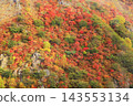 那須高地秋葉 143553134
