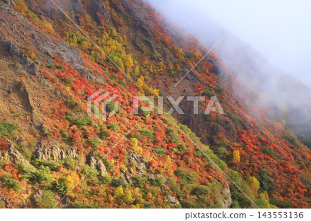 Autumn leaves of Nasu Highlands 143553136