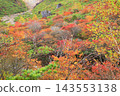 那須高地秋葉 143553138