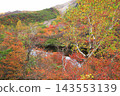 那須高地秋葉 143553139