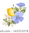 Lemon botanical composition with citrus fruits,blue linen flowers and green leaves. Hand drawn vector illustration isolated on white background. 143553278