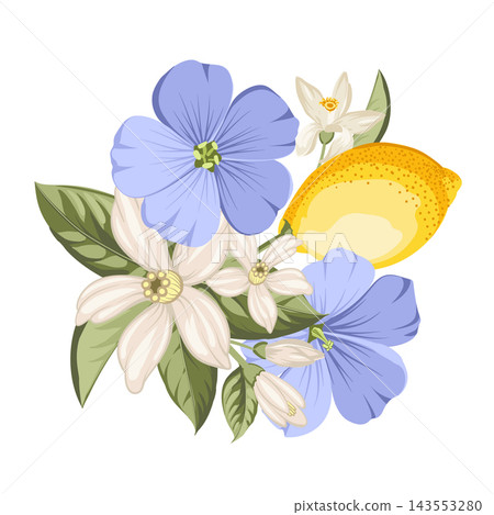 Lemons with flax flowers, citrus blossoms and green foliage. Botanical vector composition. Lemons with flax flowers, citrus blossoms and green foliage. Botanical vector composition. 143553280