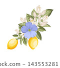 Botanical arrangement with lemons, flax flowers and citrus blossoms. Vector floral illustration. 143553281