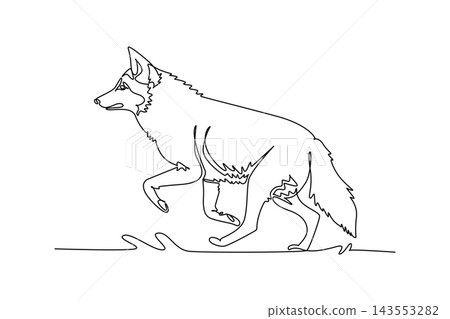 Single one line drawing wild coyote or wolf trotting stealthily through a deciduous forest floor. Bushy tail, alert pointed ears, agile motion. Continuous line draw design graphic vector illustration Single one line drawing wild coyote or wolf trotting stealthily through a deciduous forest floor. Bushy tail, alert pointed ears, agile motion. Continuous line draw design graphic vector illustration 143553282