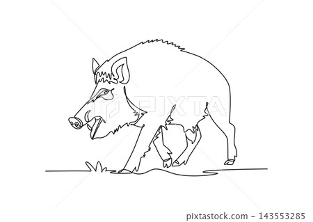 Continuous one line drawing fierce wild boar snarling aggressively with open jaws showing teeth and sharp tusks, bristled back fur, powerful stance. Single line draw design vector graphic illustration Continuous one line drawing fierce wild boar snarling aggressively with open jaws showing teeth and sharp tusks, bristled back fur, powerful stance. Single line draw design vector graphic illustration 143553285