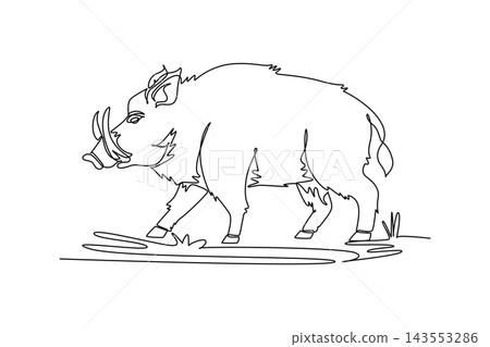 Continuous one line drawing wild boar walking steadily across a grassy woodland clearing. Sturdy body, curved tusks, pointed snout, and hairy coat. Single line draw design vector graphic illustration Continuous one line drawing wild boar walking steadily across a grassy woodland clearing. Sturdy body, curved tusks, pointed snout, and hairy coat. Single line draw design vector graphic illustration 143553286
