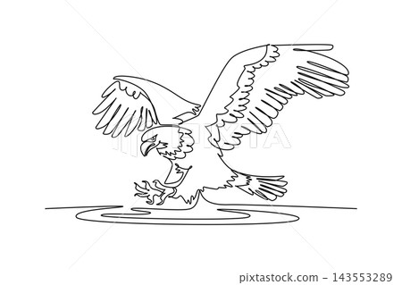 Continuous one line drawing majestic eagle swooping down over water with talons outstretched to strike, showcasing predatory forest raptor wildlife. Single line draw design vector graphic illustration Continuous one line drawing majestic eagle swooping down over water with talons outstretched to strike, showcasing predatory forest raptor wildlife. Single line draw design vector graphic illustration 143553289