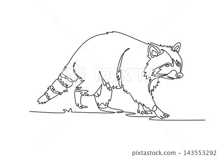 Single continuous line drawing wild raccoon prowling forward on all four paws, showcasing its iconic banded tail, masked face, thick fur coat. Dynamic one line draw graphic design vector illustration Single continuous line drawing wild raccoon prowling forward on all four paws, showcasing its iconic banded tail, masked face, thick fur coat. Dynamic one line draw graphic design vector illustration 143553292