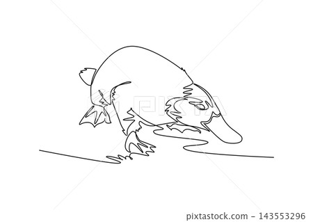 Single continuous line drawing wild platypus foraging near the water with its head bent downward, showing its bill, webbed feet, paddle tail. Dynamic one line draw graphic design vector illustration Single continuous line drawing wild platypus foraging near the water with its head bent downward, showing its bill, webbed feet, paddle tail. Dynamic one line draw graphic design vector illustration 143553296