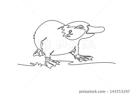 Single continuous line drawing wild platypus walking alertly along the ground near water. Its characteristic duck bill, webbed feet, and rounded body. One line draw graphic design vector illustration 143553297