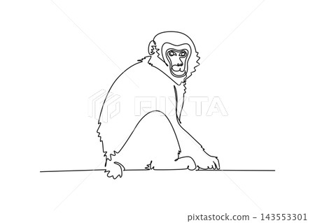 Single one line drawing fluffy Japanese macaque or snow monkey resting on the forest ground while looking directly forward, its expressive face. Continuous line draw design graphic vector illustration Single one line drawing fluffy Japanese macaque or snow monkey resting on the forest ground while looking directly forward, its expressive face. Continuous line draw design graphic vector illustration 143553301