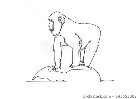 Single one line drawing fluffy Japanese macaque standing alertly on all fours atop a rock, showcasing its thick woodland coat, observant gaze. Continuous line draw design graphic vector illustration Single one line drawing fluffy Japanese macaque standing alertly on all fours atop a rock, showcasing its thick woodland coat, observant gaze. Continuous line draw design graphic vector illustration 143553302