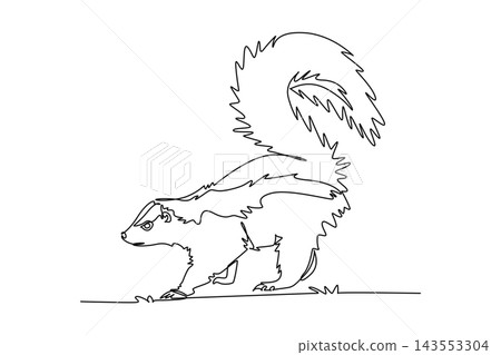 Single one line drawing wild skunk walking with large bushy tail raised high in defensive warning posture, distinct traits of woodland wildlife. Continuous line draw design graphic vector illustration Single one line drawing wild skunk walking with large bushy tail raised high in defensive warning posture, distinct traits of woodland wildlife. Continuous line draw design graphic vector illustration 143553304