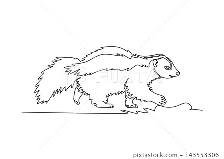 Single one line drawing a wild funny skunk walking along the woodland ground with its distinctive dorsal stripe, bushy tail, fluffy fur. Modern continuous line draw design graphic vector illustration Single one line drawing a wild funny skunk walking along the woodland ground with its distinctive dorsal stripe, bushy tail, fluffy fur. Modern continuous line draw design graphic vector illustration 143553306