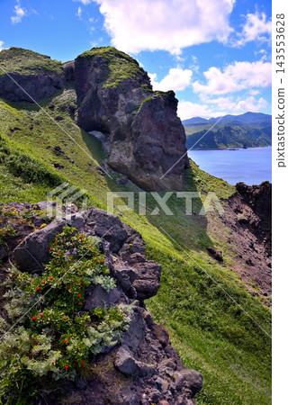 Image of enjoying the unique rock formations and red berries of the Japanese rose from the walking trail at Cape Kamui on the Shakotan Peninsula in Hokkaido - Shakotan Town, Hokkaido (1) Image of enjoying the unique rock formations and red berries of the Japanese rose from the walking trail at Cape Kamui on the Shakotan Peninsula in Hokkaido - Shakotan Town, Hokkaido (1) 143553628