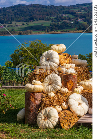 Elegant harvest festival installation of organic white pumpkins and haystacks on a green grass lawn with a scenic lake background 143553735