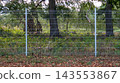 Silver welded wire mesh fence stands installed in green forest park area. Property boundary protection, security enclosure, and outdoor perimeter fencing 143553867