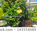 terrace with greenery 143554089