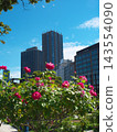 Cities and Roses 143554090