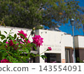 Cities and Roses 143554091