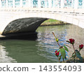 Flowers blooming at the water's edge 143554093