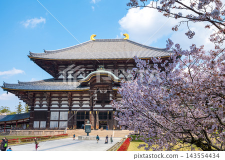 古都奈良。東大寺正殿與櫻花-春天 古都奈良。東大寺正殿與櫻花-春天 143554434