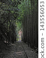 A mystical landscape where railway tracks surrounded by a bamboo grove stretch into the distance. 143556053