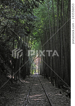 一片神秘的景象,鐵軌被竹林環繞,一直延伸到遠方。 一片神秘的景象,鐵軌被竹林環繞,一直延伸到遠方。 143556053