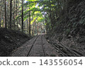 A mystical landscape where railway tracks surrounded by a bamboo grove stretch into the distance. 143556054