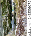 滋賀縣東近江市太郎坊神社的夫妻岩和巨石道 143556079
