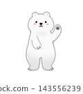北極熊舉起一隻手 143556239