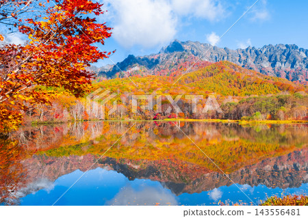 Kagamiike和Togakure山（秋天） 143556481