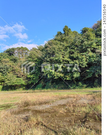Autumn grasslands and wetlands Autumn grasslands and wetlands 143556540