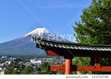 Yamanashi, Japan: Arakura Fuji Sengen Shrine, Arakurayama Sengen Park Yamanashi, Japan: Arakura Fuji Sengen Shrine, Arakurayama Sengen Park 143556786