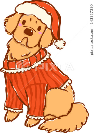 Christmas Dog Golden Retriever in Red Sweater Hand Drawn Christmas Dog Golden Retriever in Red Sweater Hand Drawn 143557350