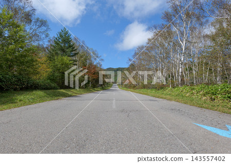 秋高氣爽，驅車穿過八岳北部，沿途風景優美，筆直的道路兩旁白樺樹成蔭，天空湛藍。 143557402