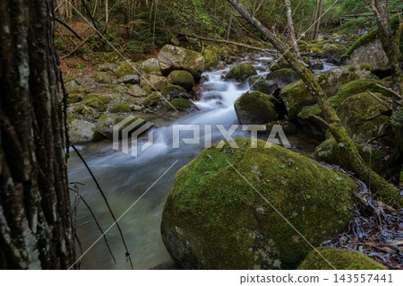 初秋時節，川上村梓川沿岸，青苔覆蓋的巨石和潺潺溪流構成了一幅美麗的畫卷。 143557441