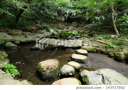六義園,風景名勝區:步道與水文石,東京 六義園,風景名勝區:步道與水文石,東京 143557892