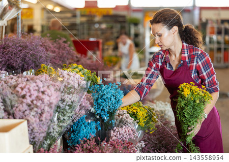 Middle-aged saleswoman holding bouquet of dry flowers in plants market Middle-aged saleswoman holding bouquet of dry flowers in plants market 143558954