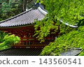京都岩代寺的清新綠植 143560541