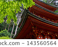 京都淨琉璃寺的清新綠植 143560564