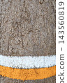 close up of tree bark texture  143560819