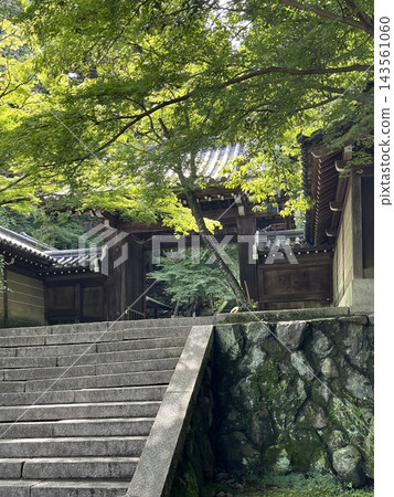 京都一座古老寺廟的大門,周圍環繞著綠色的楓葉、長滿青苔的石牆和石階。 京都一座古老寺廟的大門,周圍環繞著綠色的楓葉、長滿青苔的石牆和石階。 143561060