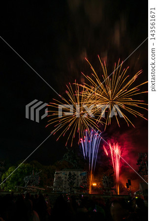 A large flower blooming in the night sky A large flower blooming in the night sky 143561671